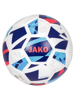 Тренувальний мяч Iconic