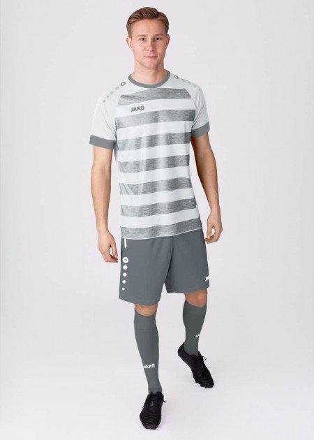 Джерсі Celtic Melange S/S