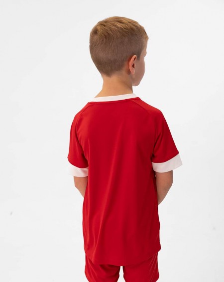 Джерсі Celtic Melange S/S