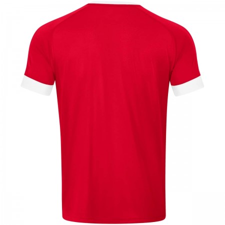 Джерсі Celtic Melange S/S