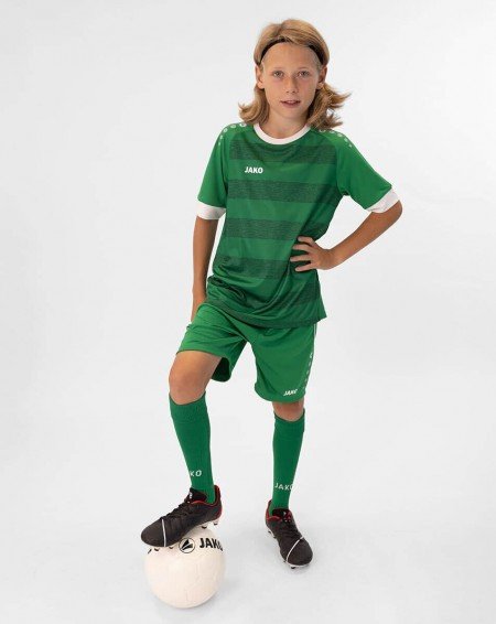 Джерсі Celtic Melange S/S