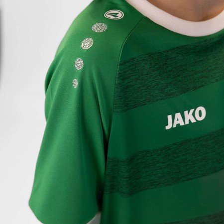 Джерсі Celtic Melange S/S