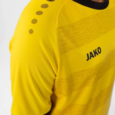 Джерсі Celtic Melange S/S