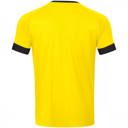 Джерсі Celtic Melange S/S