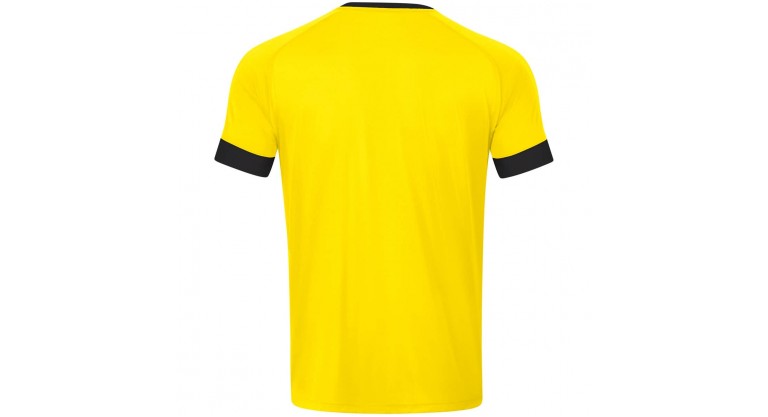 Джерсі Celtic Melange S/S