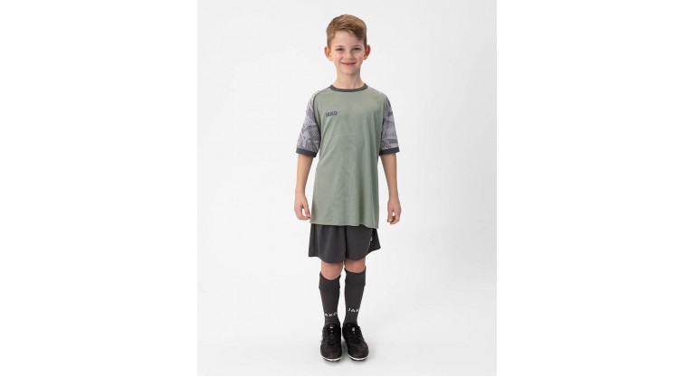 Джерсі Iconic S/S Джерсі Iconic S/S