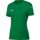 Джерсі Team S/S (жіночі)