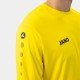 Джерсі Team L/S Джерсі Team L/S