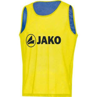 Манішки