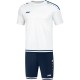 Футболка striker 2.0
