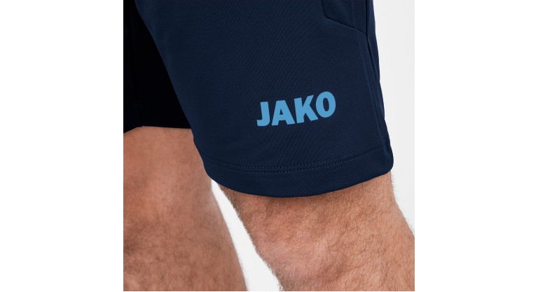 Шорты тренировочные Jako premium