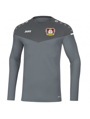 Реглан на флісі champ2.0