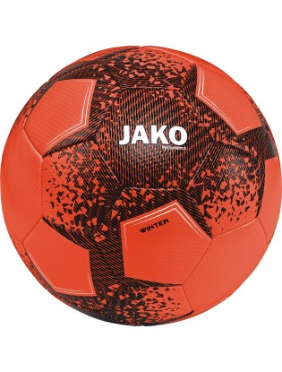 Зимовий мяч Performance