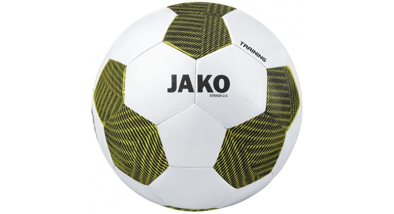 Тренувальний м'яч Striker 2.0